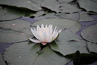 《阿盖尔：神秘特工》 发布首支预告 明年2月上映